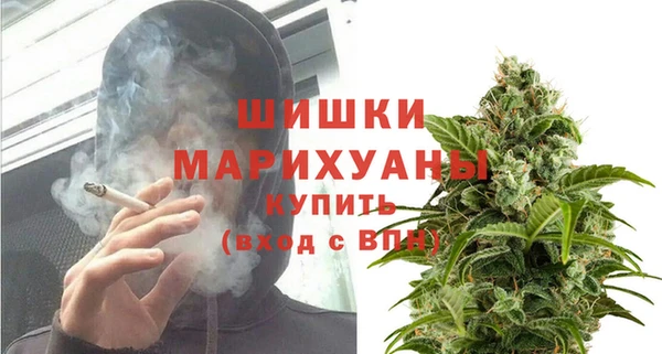 соль ск Богородск