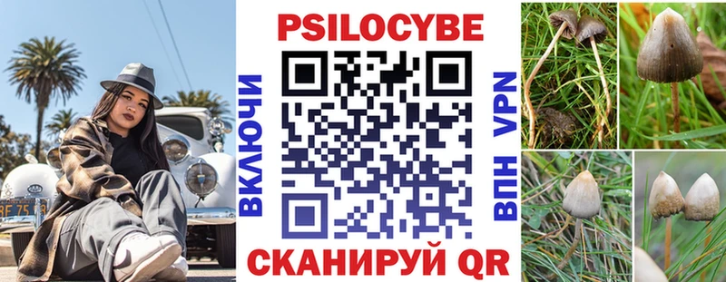 Псилоцибиновые грибы мицелий  Купить  Пласт 
