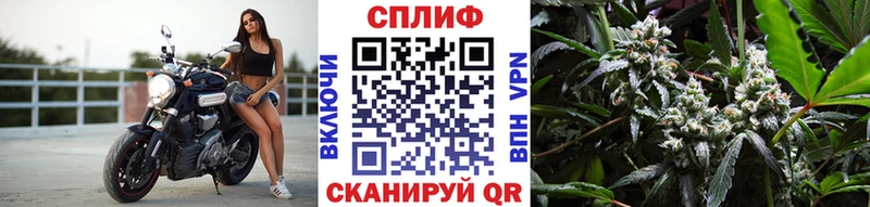 МАРИХУАНА ГИДРОПОН  Купить закладки  Пласт 